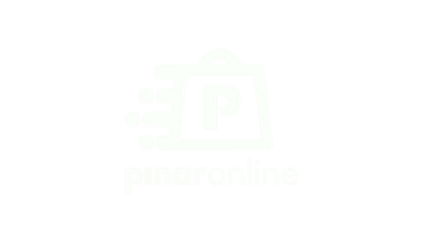 pinar_online_logo